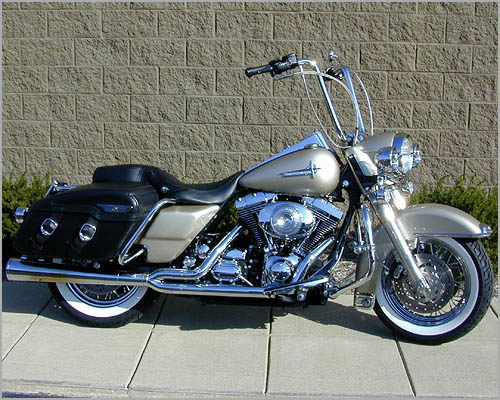 WO509 on Road King